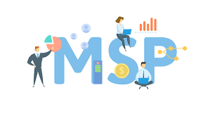 MSP DE LOUVERNÉ