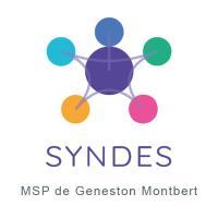 MSP SYNDES GENESTON-MONTBERT
