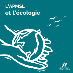 Vers une Association Plus Écologique  : Nos Initiatives en Matière de Responsabilité Sociale des Entreprises