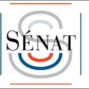 Consultation du Sénat auprès des professionnels des soins primaires