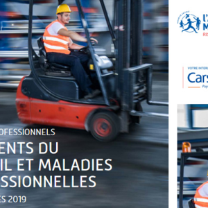 Statistiques régionales 2019 Accidents du Travail / Maladies Professionnelles (AT/MP)