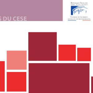 Parution d'un avis du CESE sur les déserts médicaux